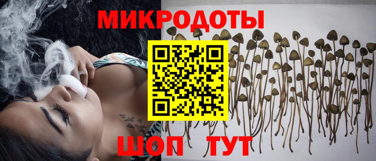 Псилоцибиновые грибы прущие грибы Кирово-Чепецк
